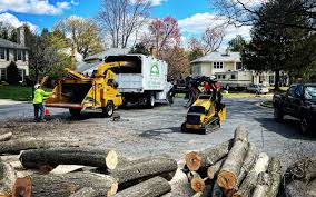 Best Landscape Design and Installation  in Kekoskee, WI