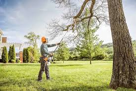 Best Tree Trimming and Pruning  in Kekoskee, WI