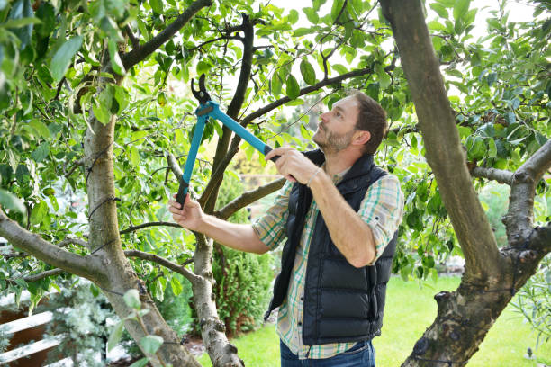 Best Tree Risk Assessment  in Kekoskee, WI